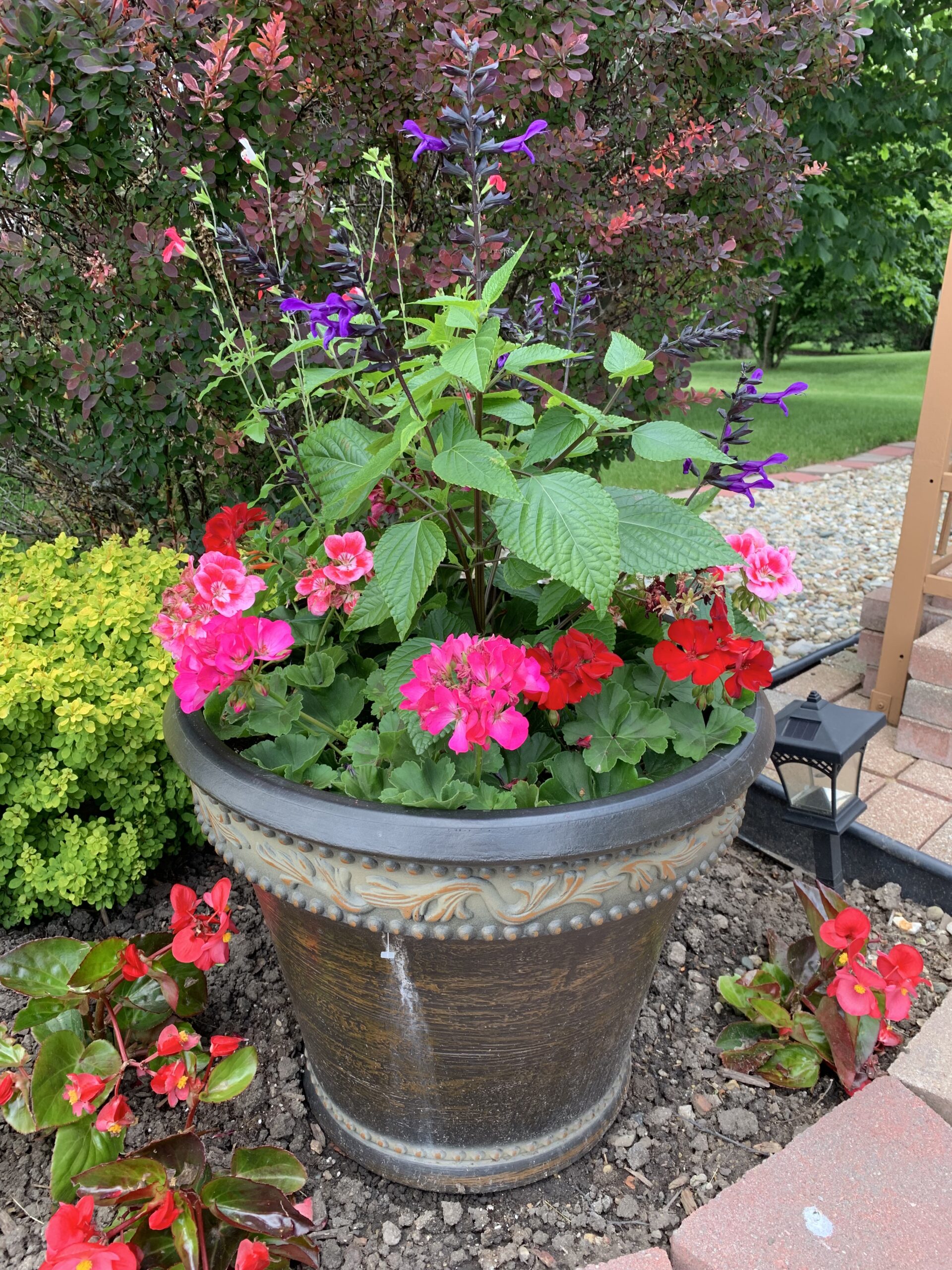 Gallery - Kolze's Corner Gardens - See The Beauty
